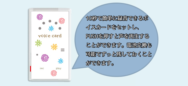 voicecard.jpg